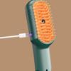 Steam Spray Function Pet Cleaning Spray Comb Cat Massage Comb  For Hair Removal And Detangling
