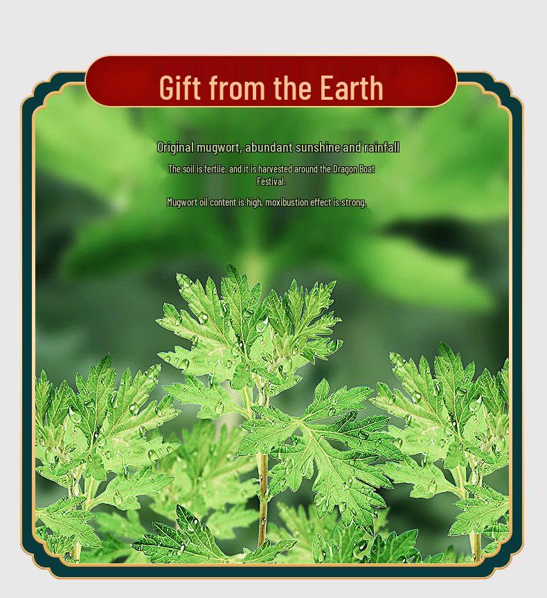 Large Nanyang Moxa Wool Sticks & Cones: 7cm Thickened Moxibustion Helpers