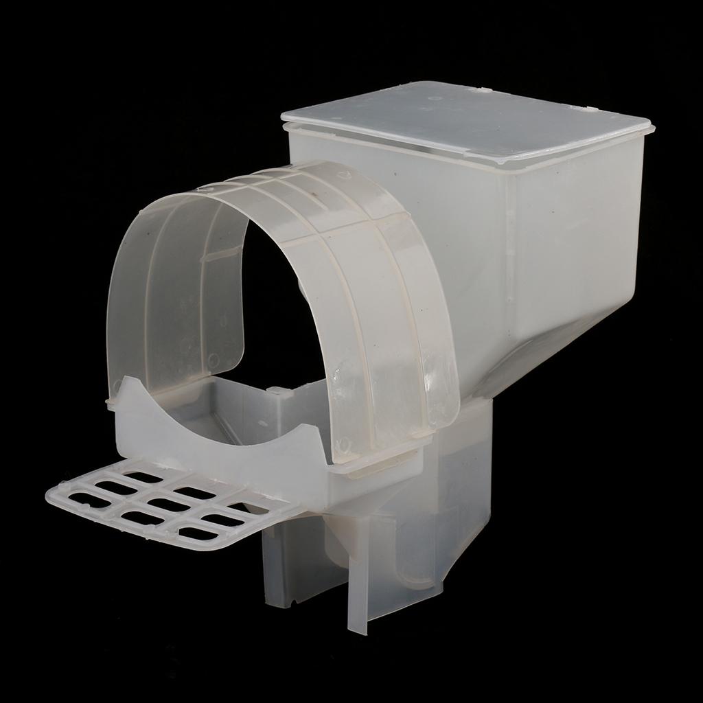 automatic pigeon feeder with timer