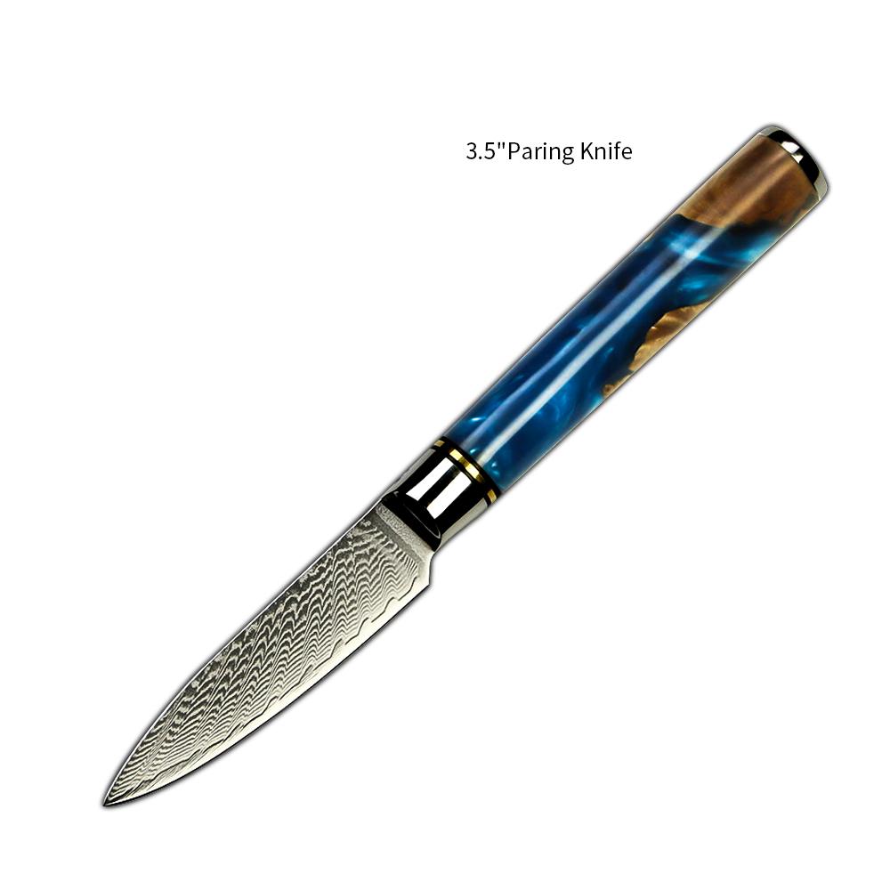 Amber Hot Selling 67-Layer Damascus Steel Kitchen Chef Knife Set Super Sharp Blade 10Cr15CoMoV Core with Resin & Wood Handle