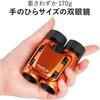 Kenko Classi-air 8x21DH Binoculars for Concerts, Roof Prism Type, 8x Magnification, 21mm Objective Lens, Ultra-Lightweight, Compact, Multi-Coated, Ora