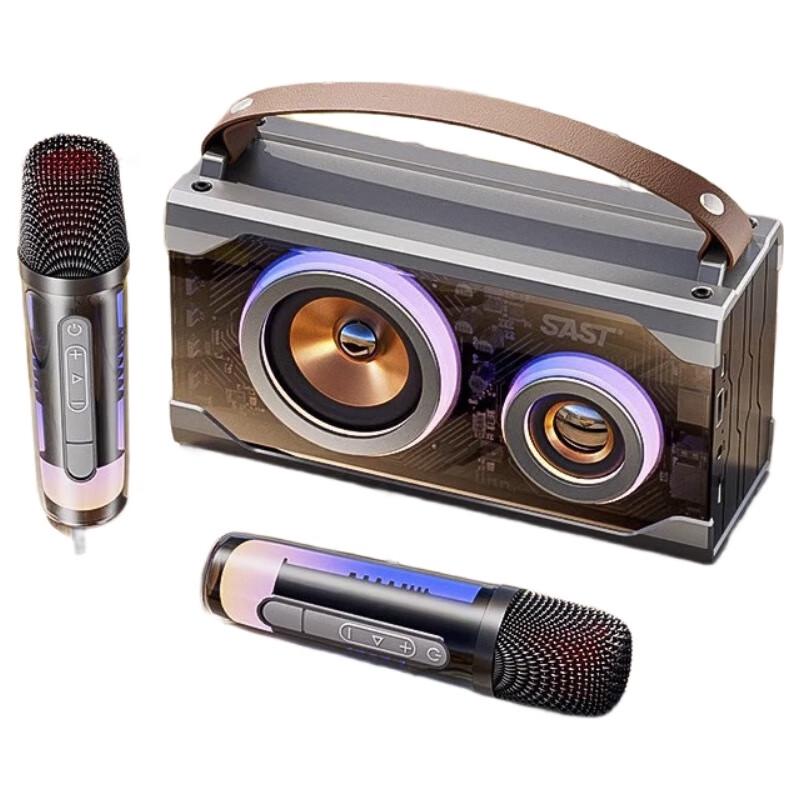 

SAST T65 Wireless KTV Speaker with Dual Mics