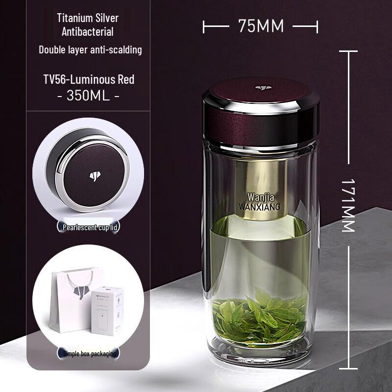Silver Ion Double-Wall Borosilicate Glass Tea Infuser Bottle