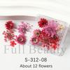 Nail Art Dried Flowers Japanese Mixed Filled With Star Hydrangea Small Wrinkled Chrysanthemum Box Decoration Nail Dried Flowers