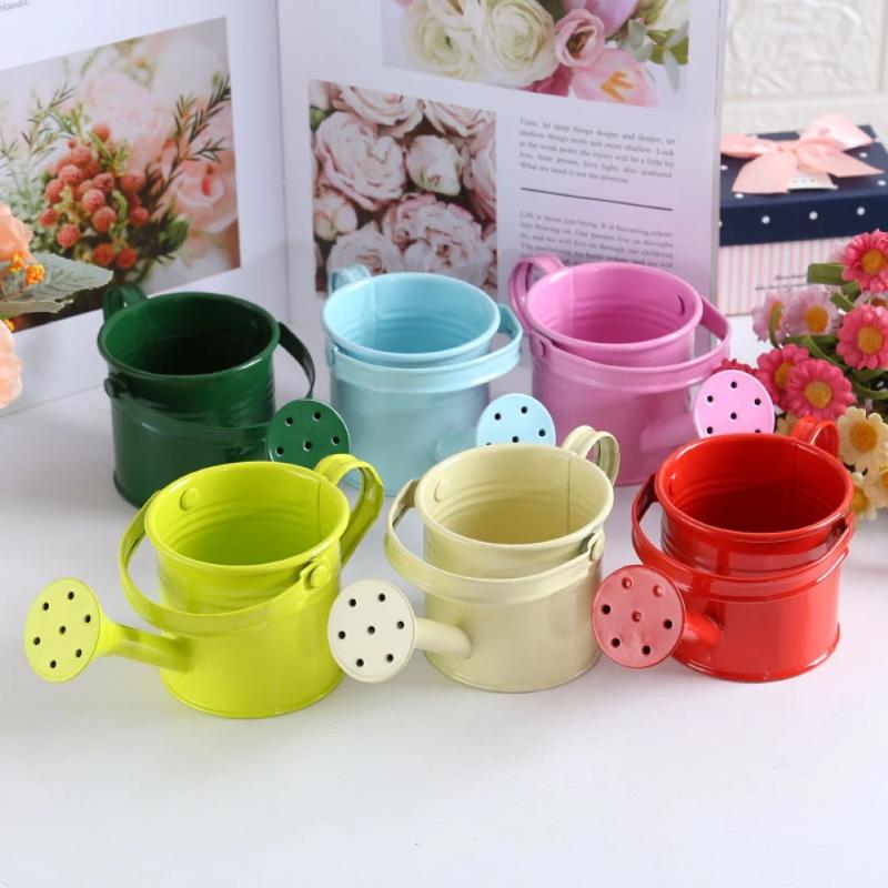 New Metal Watering Can Garden Flower Kettle Mini Small Water Spraying Pot Large Capacity For Kids Adult