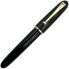 Gullor Acrylic Fountain Heartbeat Fine Nib Pen, Tip, Black, (0.5mm)