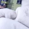 Jiangjunfu Cotton Mattress Pad & Cover Set