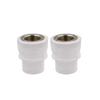 FFY PPR Internal Thread Water Pipe Connector