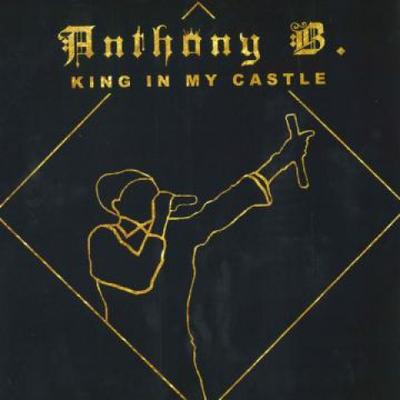 LP Plaat ANTHONY B - King In My Castle (2LP) 7STAR1LP Geboren Vuur Muziek 2020 Europa Reggae, Ska & Dub