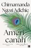 Americanah by Chimamanda Ngozi Adichie Paperback Book 9780007356348