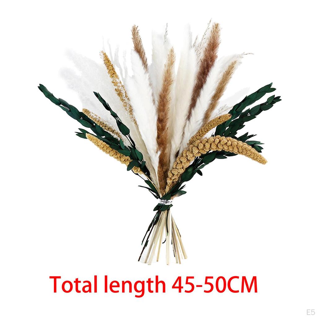 Floral Bouquet Reed Vase Dried Flower Photography Living Room Arrangement