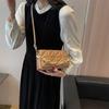 Stylish Minimalist Commuter Quilted Shoulder Bag 2023 Trendy Casual Crossbody Box Bag