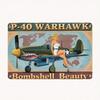 Metal Wall Art P-40 Warhawk WWII Fighter Plane Retro Aircraft Decor for Living Room