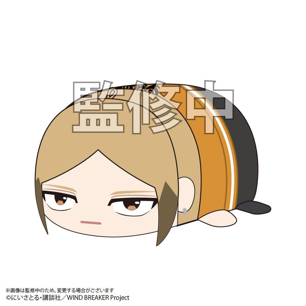 WIND BREAKER Potekoro Mascot 2 BOX