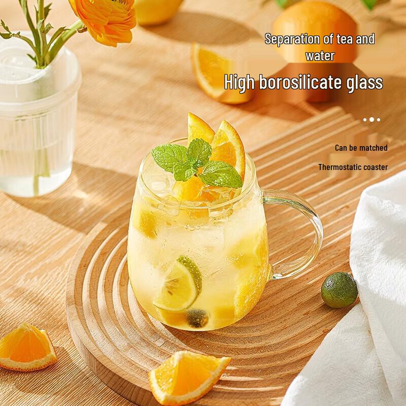 RELEA 320ml Double-Layer Glass Tea Infuser Bottle