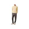Comfortable Solid Color Ribbed Knit Crew Neck Long Sleeve Sweater Men Sweater Light-Yellow LV040BM327-RLV