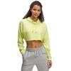 Under Armour Womens/Ladies Icon Terry Hoodie