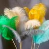 Natural Ostrich Feathers 25-30cm 30-35cm Wedding Decoration Table Centerpieces Carnival Plumas Decor 10pcs/bag Colored DIY Plume