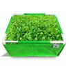Rectangle Grow Bag with Supporting PVC Pipes for Home & Terrace Garden | Premium HDPE 350 GSM Raised Bed Plant Bag Planter (Pack of 1)