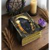 Das Raben Lederjournal: Gotisches Grimoire Buch der Schatten