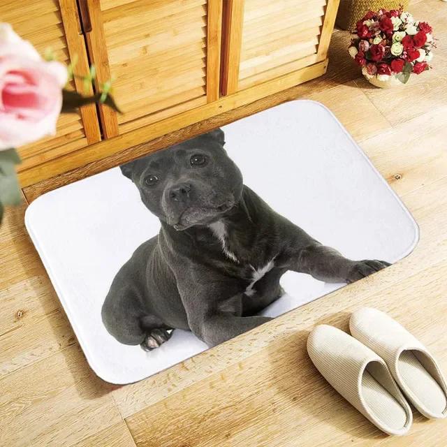 Funny Boston Terrier Dog Doormat Indoor Anti-Slip Suede Carpet Entrance Rug for Living Room Bedroom Kitchen Bathroom Door Mats