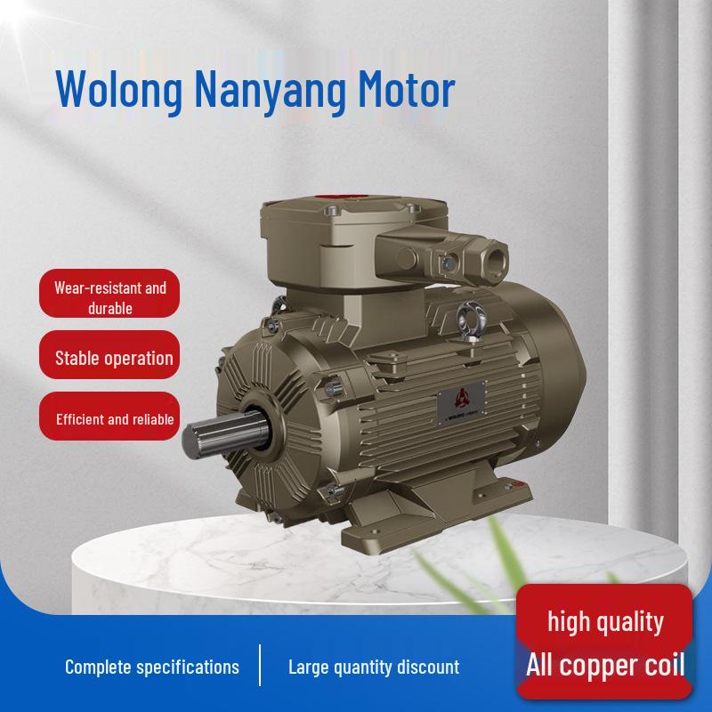 Wolong Nanyang IE4 Three-Phase Asynchronous Motor with Full Copper Winding, Low-Voltage High-Efficiency.