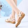 2025 Summer New Flat Sandals Non-slip Pregnant Women Leather Students Korean Version Simple Versatile Flat Heel Casual Women's Shoes