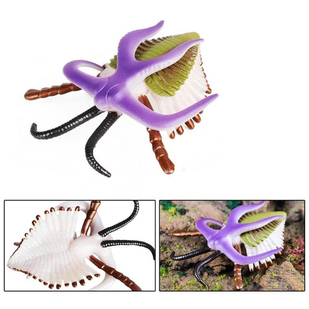 Simulation Ozeantier Figur Nautilus Trilobit Figur Meeresleben Figuren Kinderspielzeug