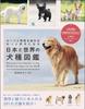 A Dog Breed Guide To Japan and the World Roots and Characteristics