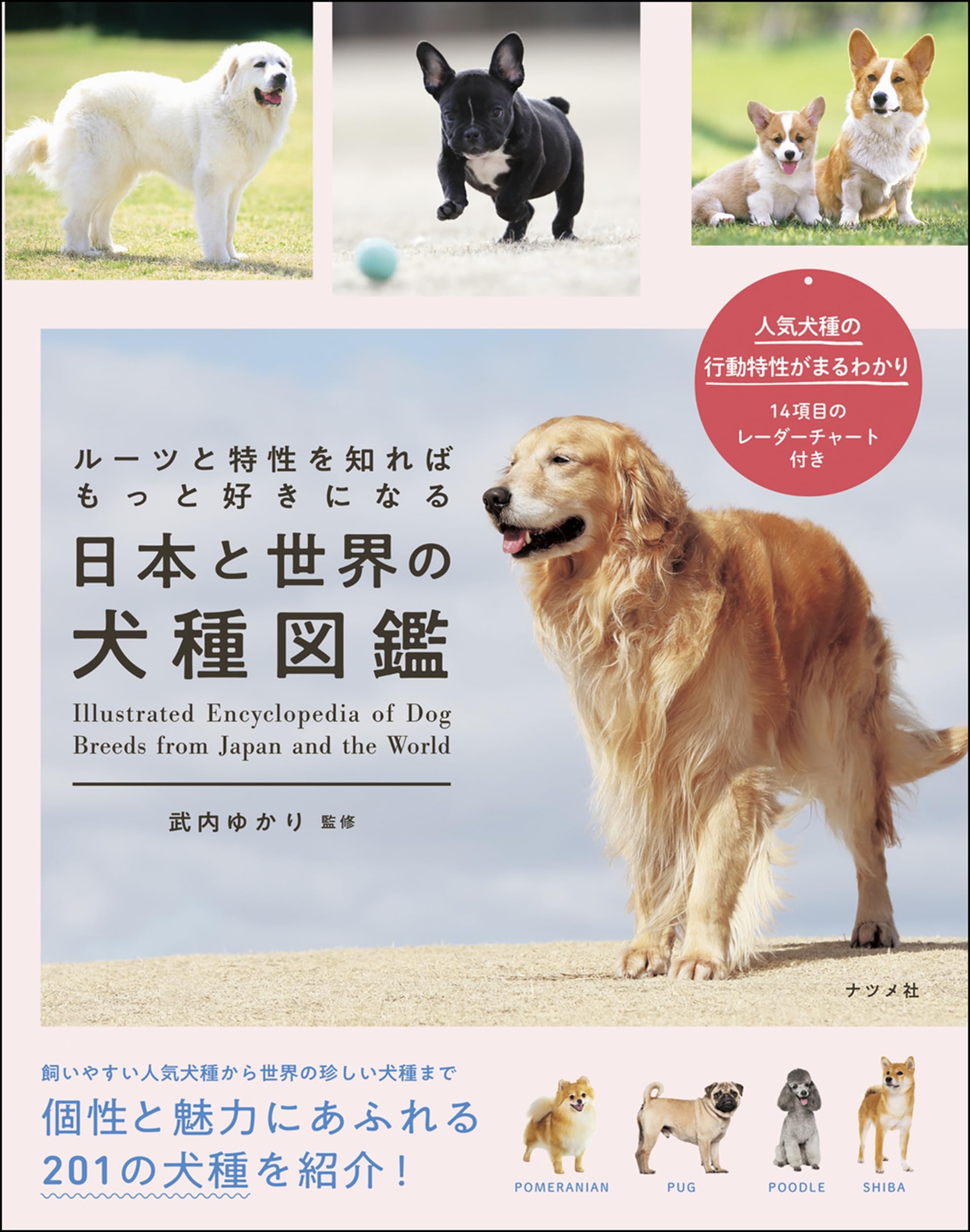 Ein Rassehund-Leitfaden für Japan und die Welt: Ursprünge und Merkmale