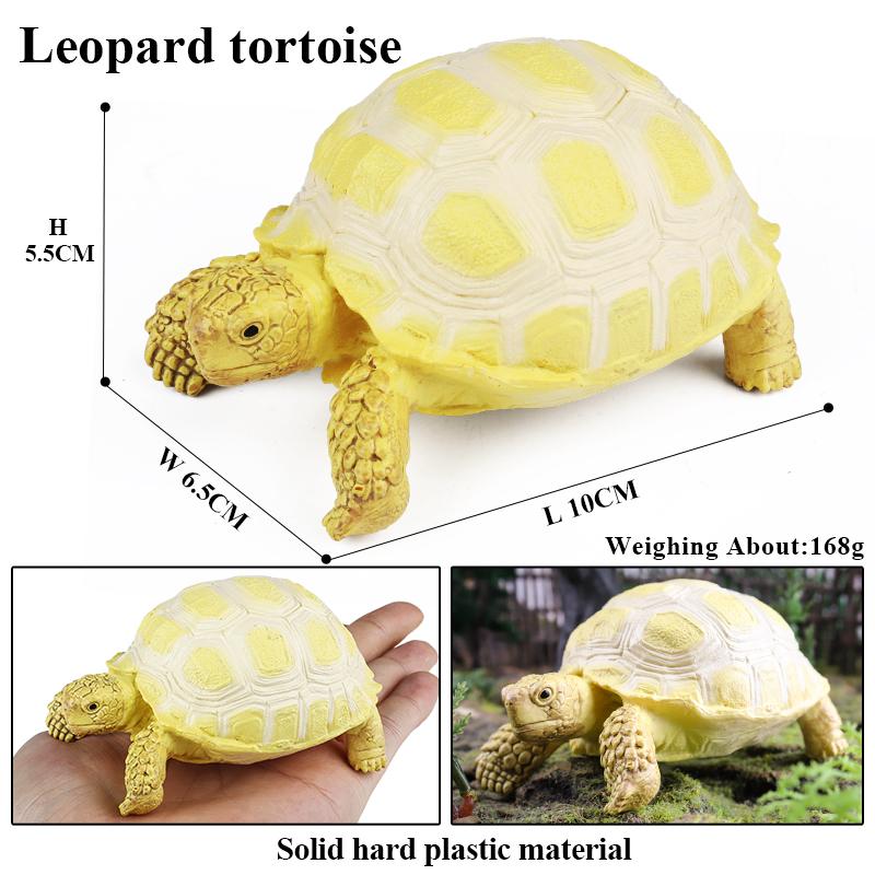 Oenux Sea Life Animals Model Leatherback Tortoise Turtle Growth Cycle Ocean Figurines Action Figures PVC Collection Kid Toy Gift