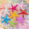 10Pcs 1.57 Inch Resin Starfish, Mini Ornaments, Decor Accessories for Home, Room, Party, Aquarium & DIY Jewelry Making
