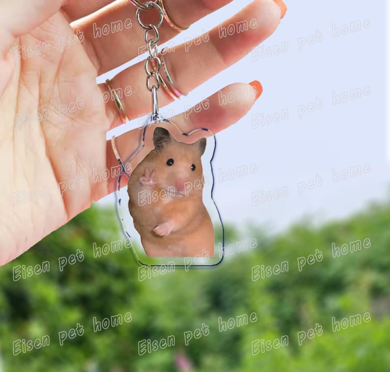 Cute Hamster Keychains for Accessories Bag Wiwiwi Cat OIIA OIIA Meme Uia Meow Car Key Chain Ring Jewelry Gifts Keyrings