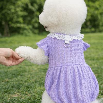 Dünnes atmungsaktives Welpen Prinzessinnenkleid Bequemer Spitzenkragen Haustier Faltenrock mit D-Ring Weicher Hundetutu-Rock Frühling Sommer