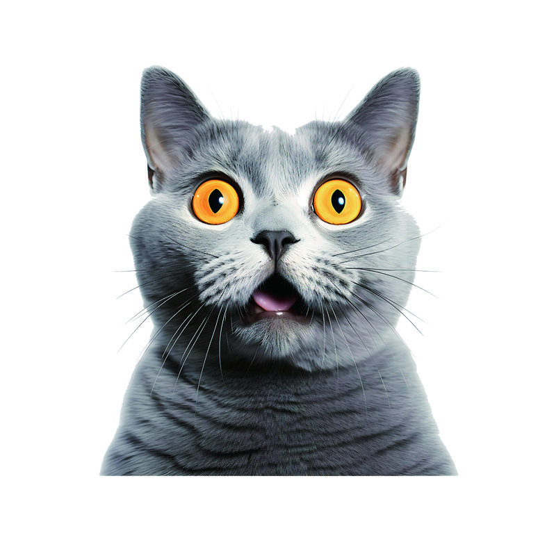 

Lovely Cat Car StickersScratch Covering SelfAdhesive Waterproof Decal Motorcycle Decorative Accessorie 13x15cm