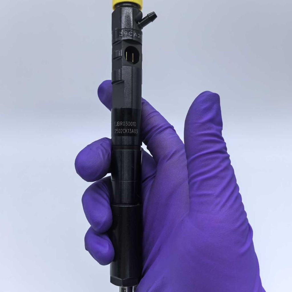 Seria Premium Injector Common Rail EJBR03001D pentru Motoare Wolwo