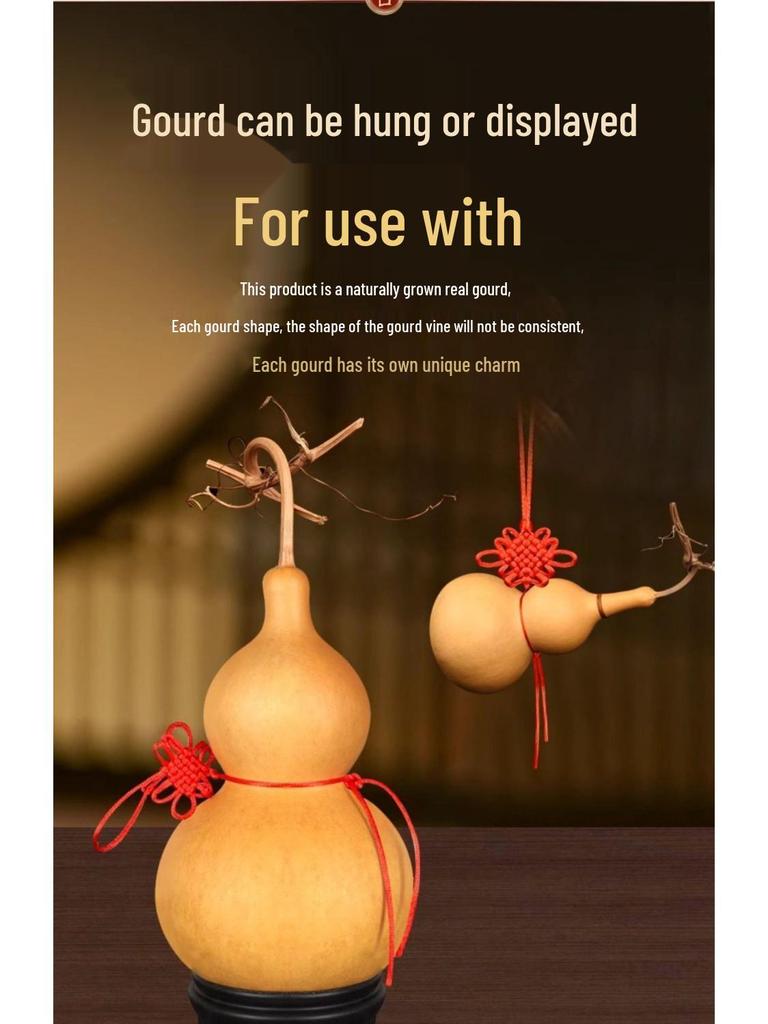 Přívěsek z pravé tykve Feng Shui: Přírodní ozdoba přitahující bohatství pro vstup, obývací pokoj nebo kancelář.