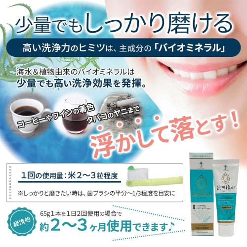 Gempaste Toothpaste Gel, 65g, Set of 2, All Natural, Additive-Free, Fluoride-Free, Non-Abrasive Toothpaste, Bad Breath Care, Includes 2 JOE Mini Clean