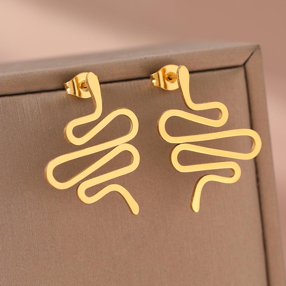 

Серьги из нержавеющей стали, новый дизайн 2023, милые линии, трендовые корейские модные серьги в виде змеи для женщин, ювелирные изделия, подарки на день рождения другу