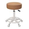 Beauty Rotating Stool with Backrest - Makeup/Barber/Dressing Table Chair with Casters