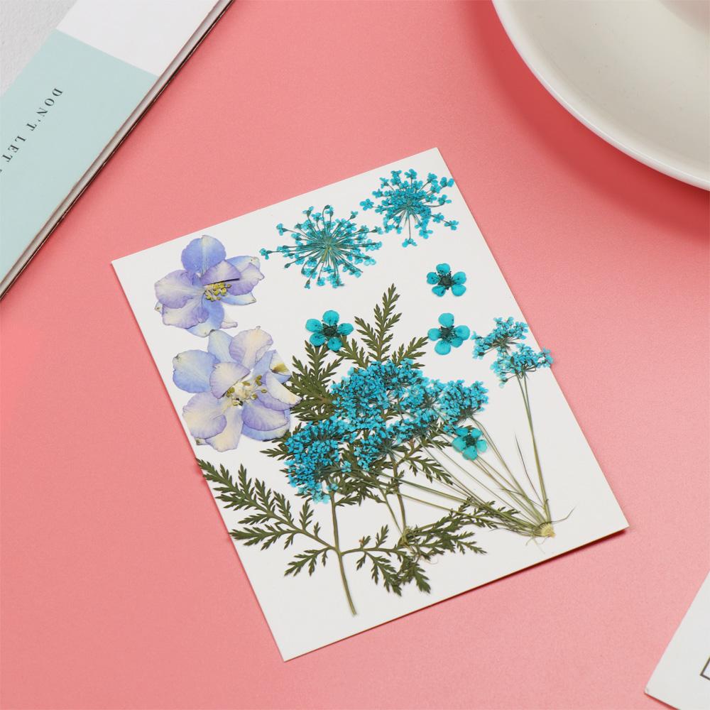 Jewelry Making Photo Props Resin Filler Beauty Decal Dried Flowers Resin Mold Filling Flower