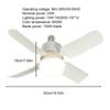 Ceiling Fan With Lights Mute Outdoor LED Enclosed Fan Remote Control 3 Wind Speeds Air Cooler Quiet 2 In 1 Enclosed Fan