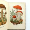 [USED] Germany Insel Library 503 Mushroom Book