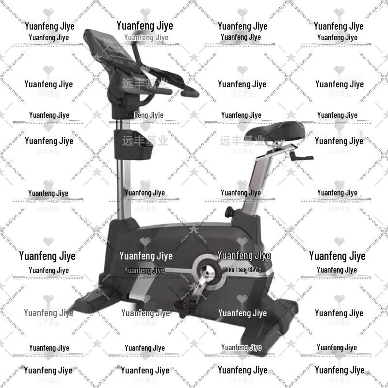 Yuanfeng Jishi C01-B Upright Exercise Bike