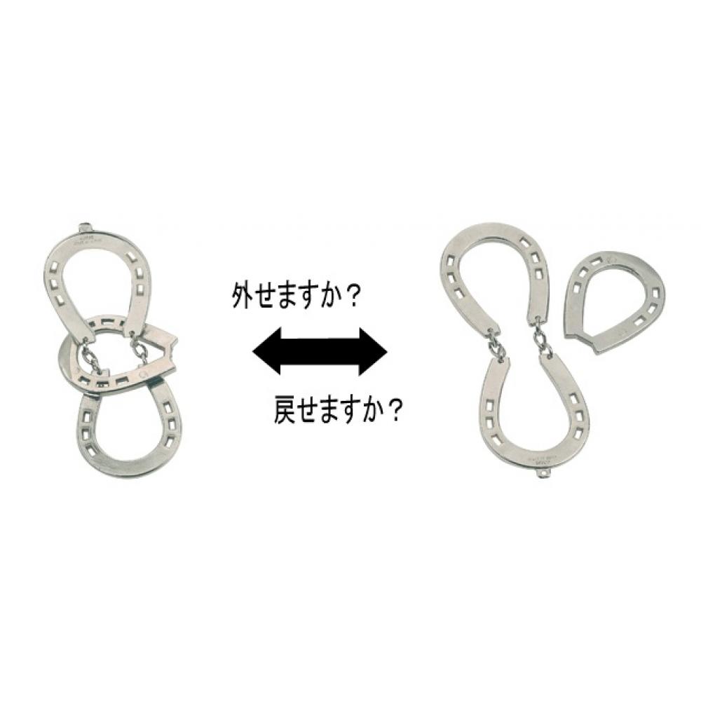 Hanayama Null Huzzle Litý kůň