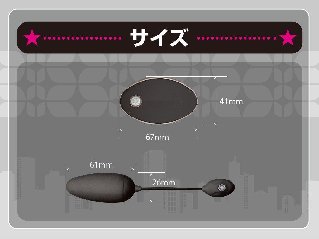 JAPANTOYZ nemo CHARGE Neo Rechargeable Remote Control Rotor Black ~Love&Leaf~