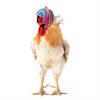 Helmet Chicken Pet Supplies Protection Chicken Hat Hamster Funny Headband Bird Toy Animal Headgear