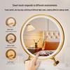 Chang Baosen 30CM Round Smart LED Makeup Mirror