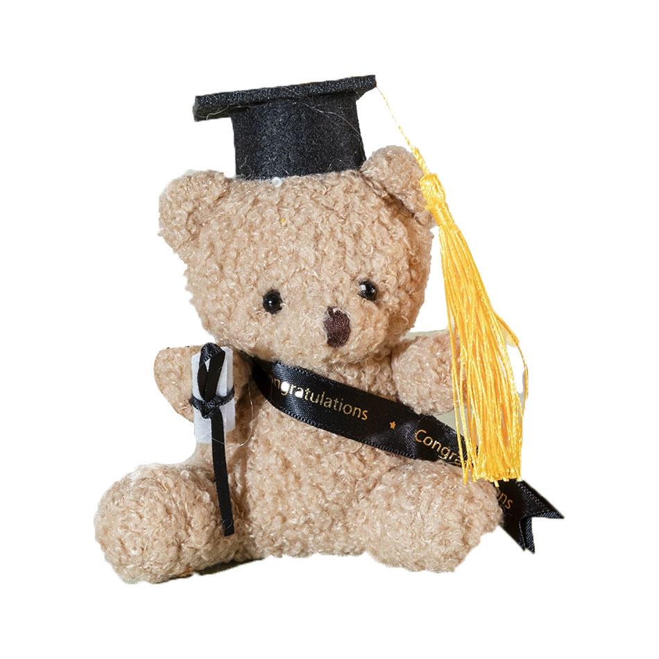 

12Cm 1/10Pcs Doctor Bear Plush Toy Graduation Stuffed Animal Doll With Cap And Gown Cute Student Graduation Educational Gift 13-14cm