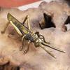 Pure Copper Locust Grasshopper Tea Pet Ornament with Brass Lid for Iron Pots – Creative Kung Fu Tea Set Accessory